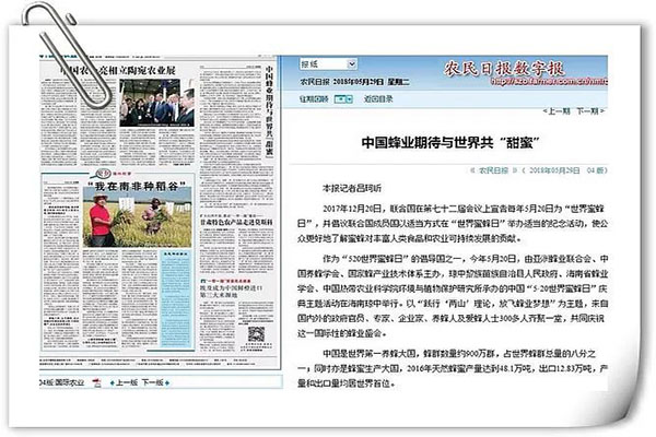 《農(nóng)民日?qǐng)?bào)》：中國(guó)蜂業(yè)期待與世界共“甜蜜”